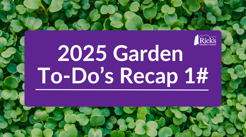 2025 Garden To-Do’s Recap 1#