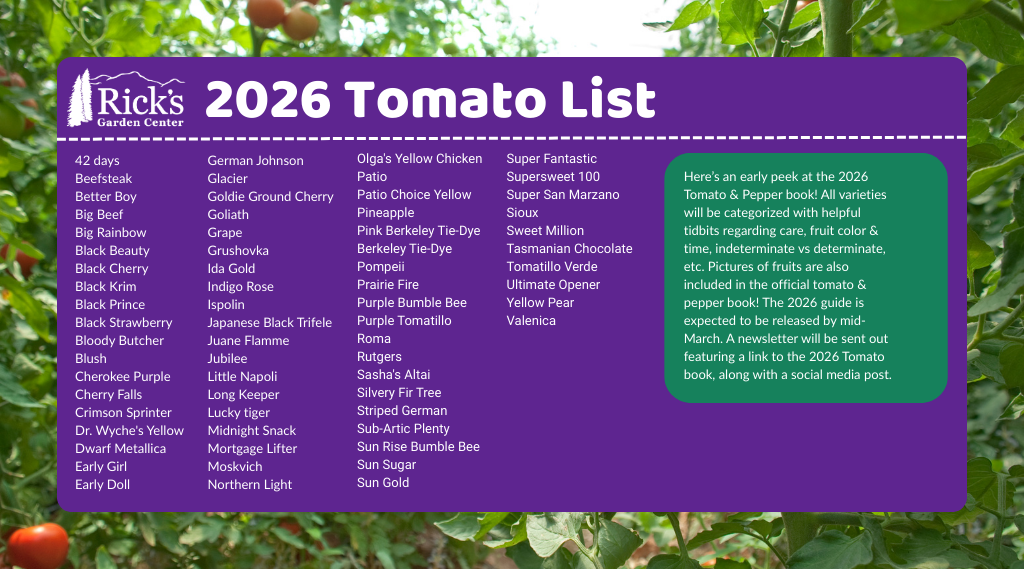 2026 Tomato & Pepper List
