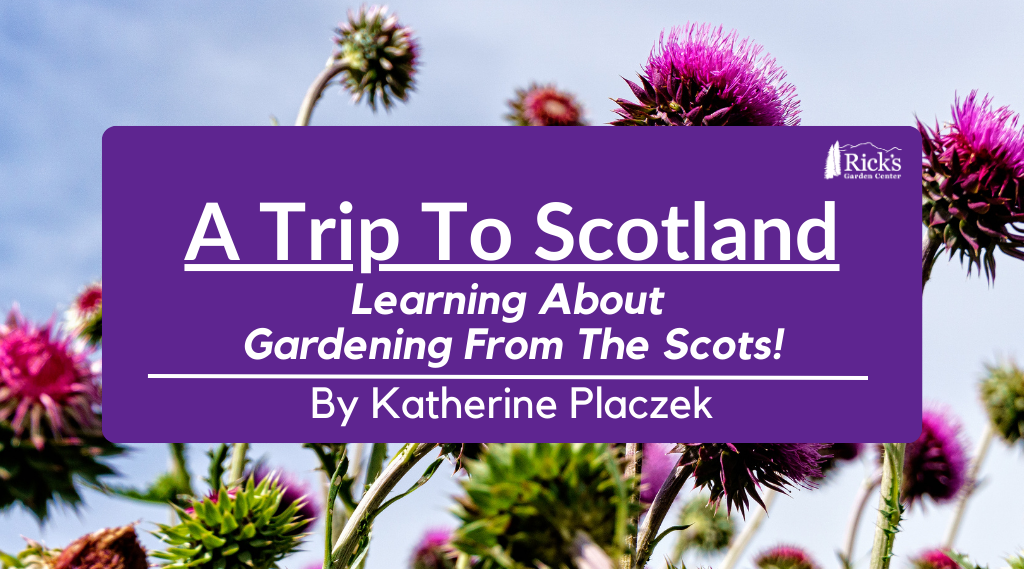 A Visit To Scotland: Learning About Gardening From The Scots!