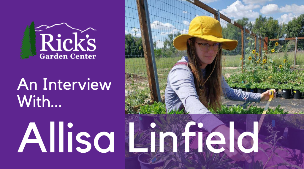 An Interview With Allisa Linfield