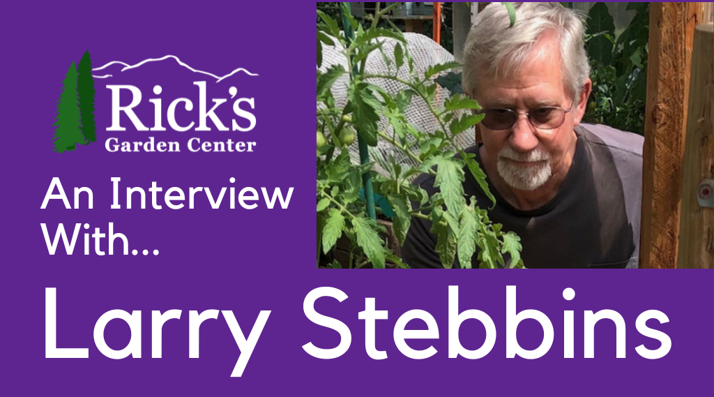 An Interview With Larry Stebbins