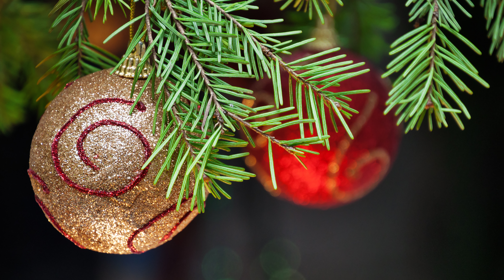 Caring for a Real Christmas Tree