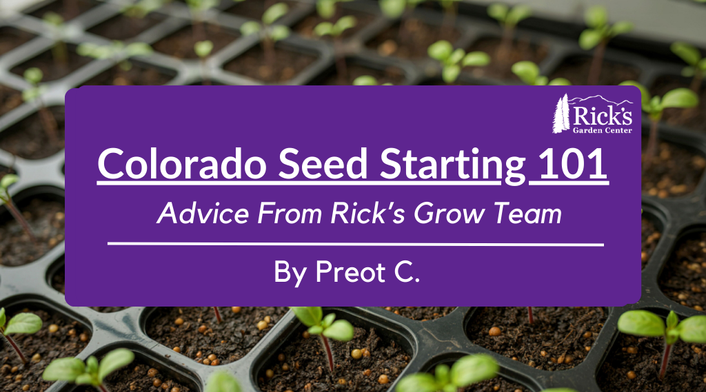 Colorado Seed Starting 101: Advice From Rick’s Grow Team