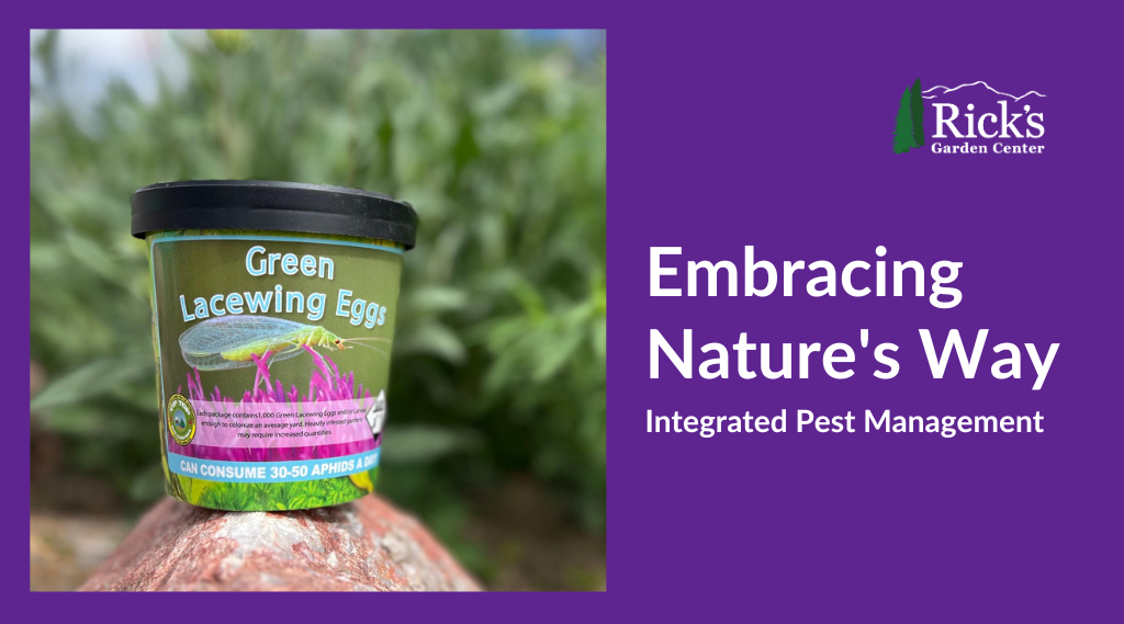 Embracing Nature’s Way: Integrated Pest Management