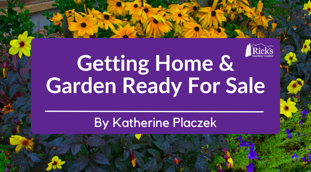 Getting Home & Garden Ready For Sale