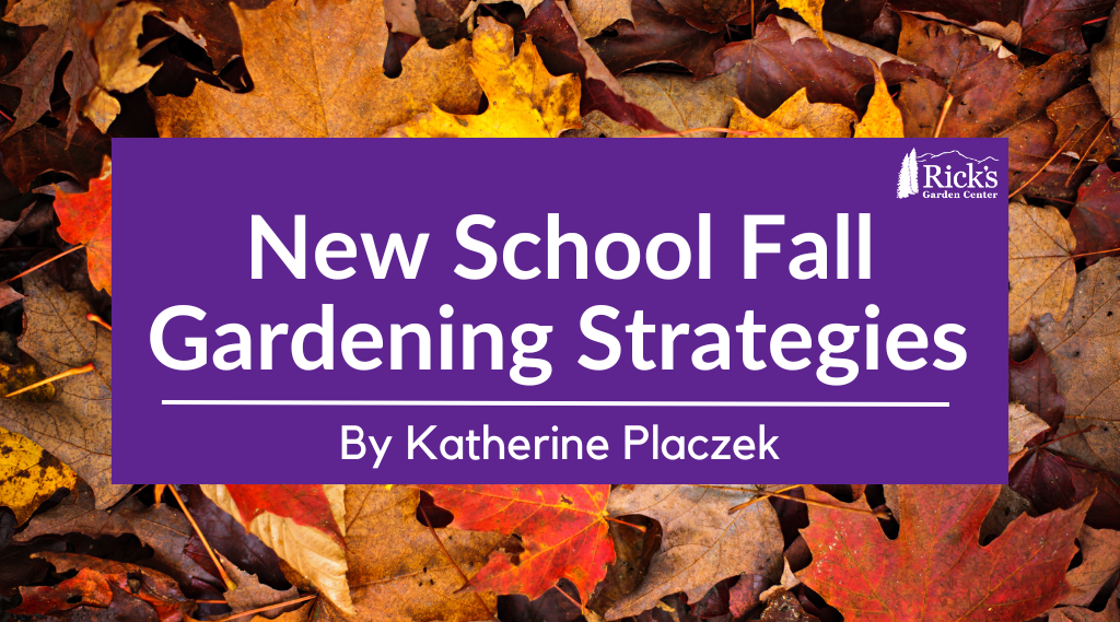 New School Fall Gardening Stretegies