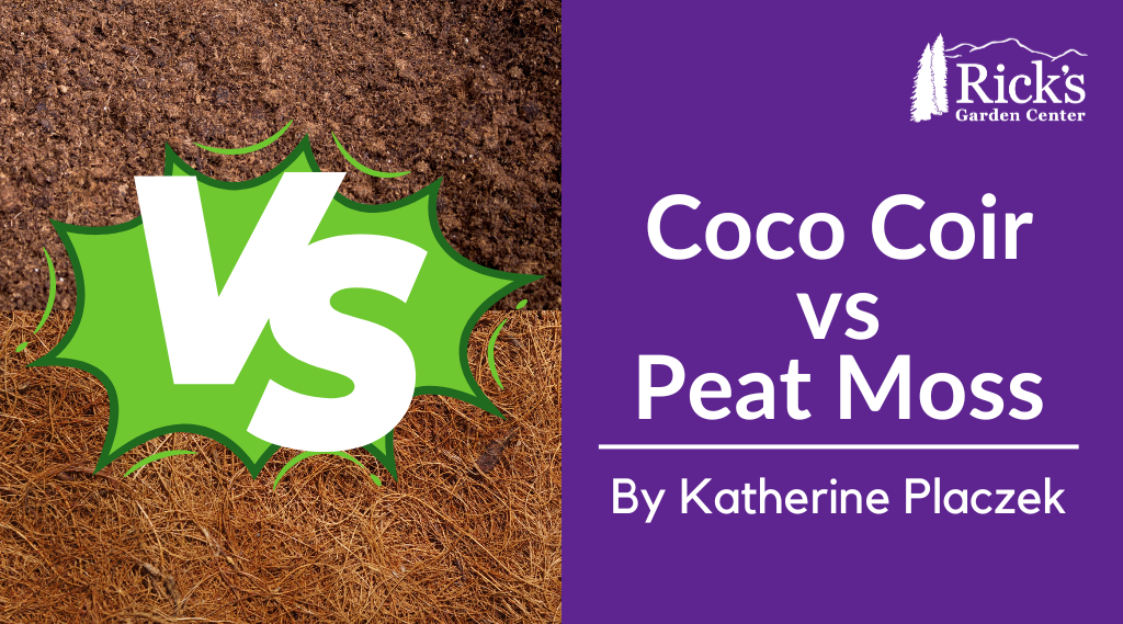 Coco Coir vs Peat Moss