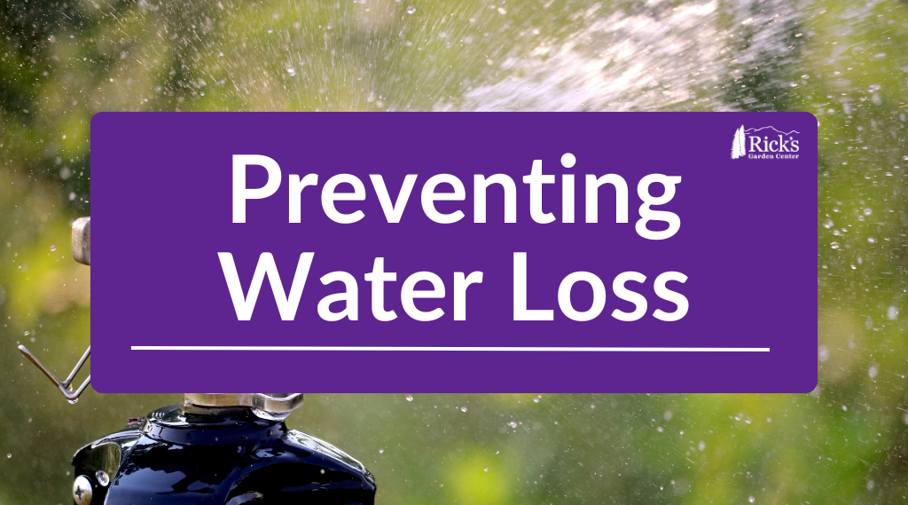 Preventing Water Loss