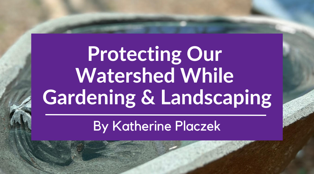 Protecting Our Watershed While Gardening & Landscaping