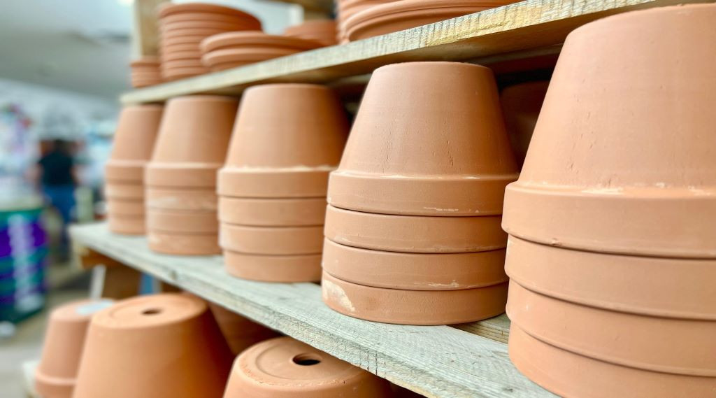 Small Pot Sizes, Mighty Plants