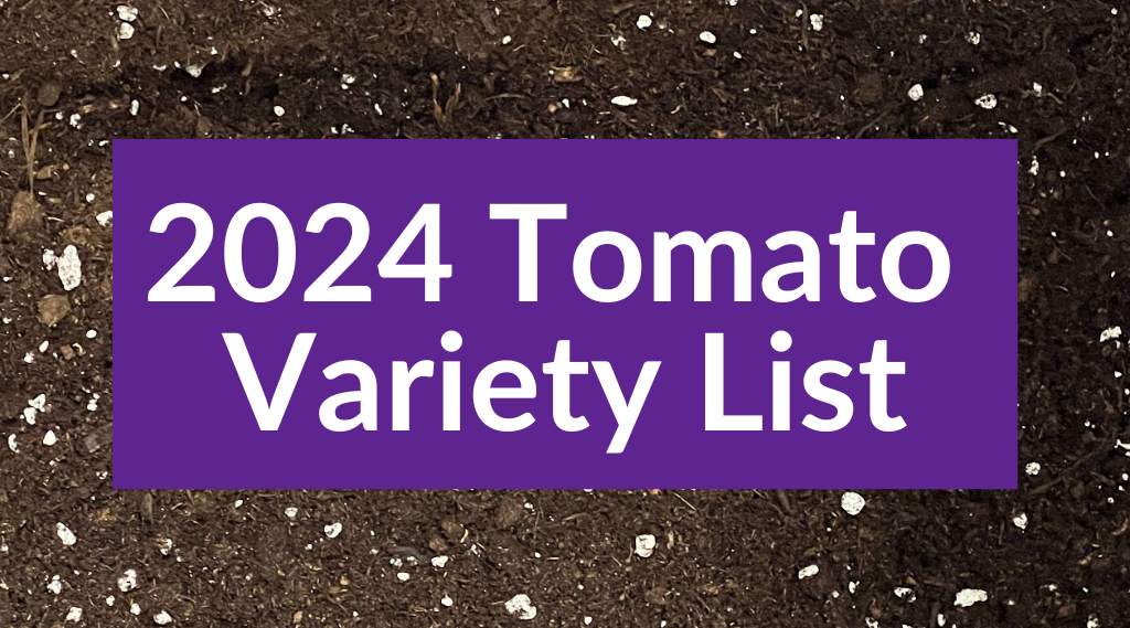Summer 2024 tomato Variety List