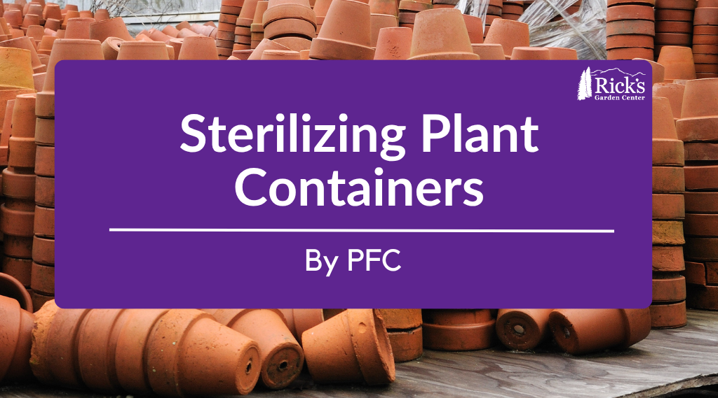 Sterilizing Plant Containers
