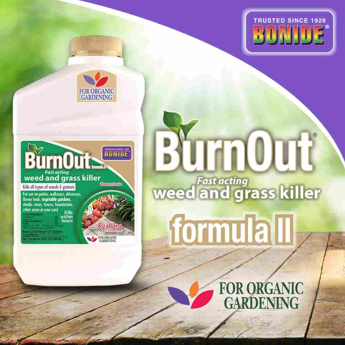 Bonide Burnout II Weed and Grass Killer Conc 1Qt 14383