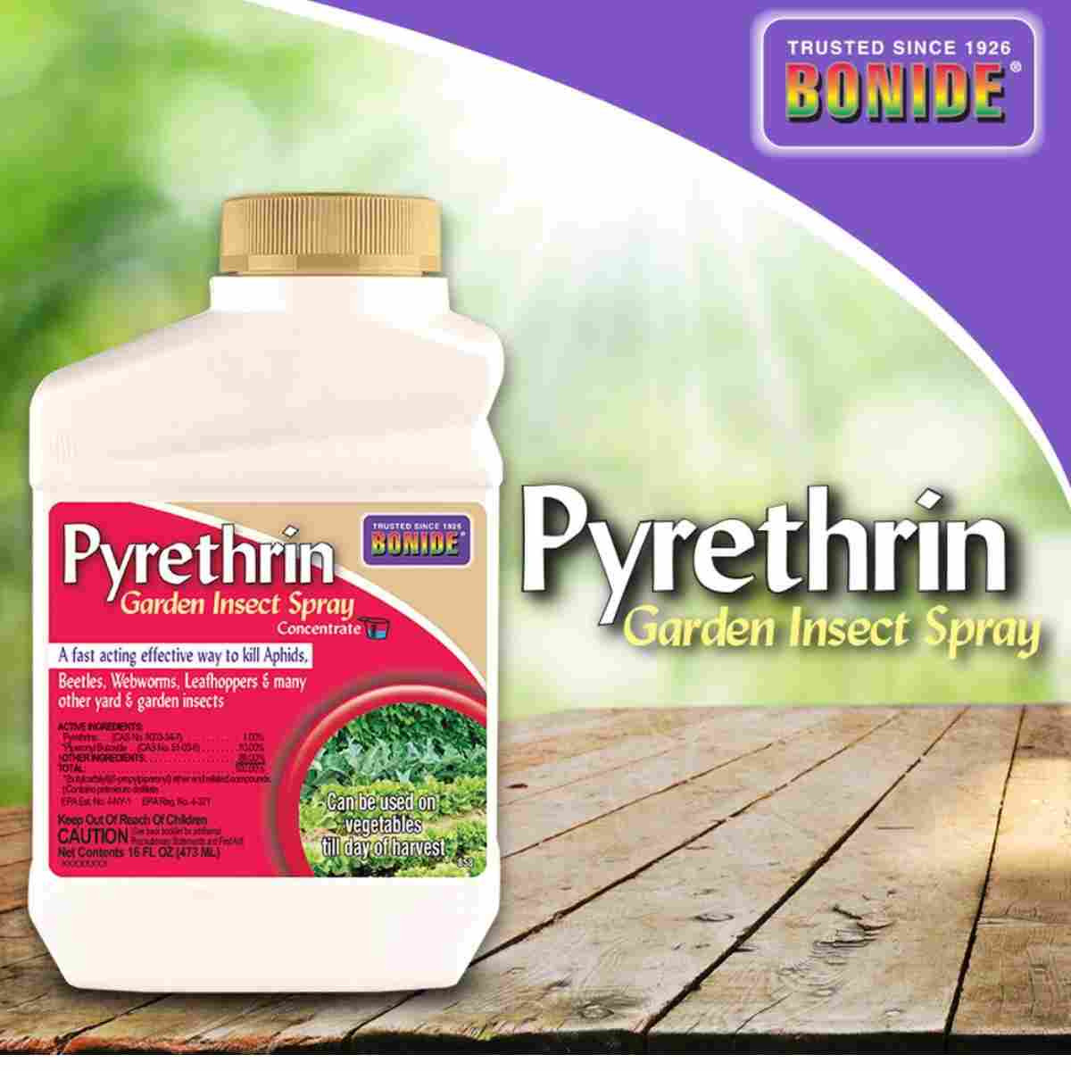 Bonide Pyrethrin Garden Insect Spray Conc 1Pt 14427