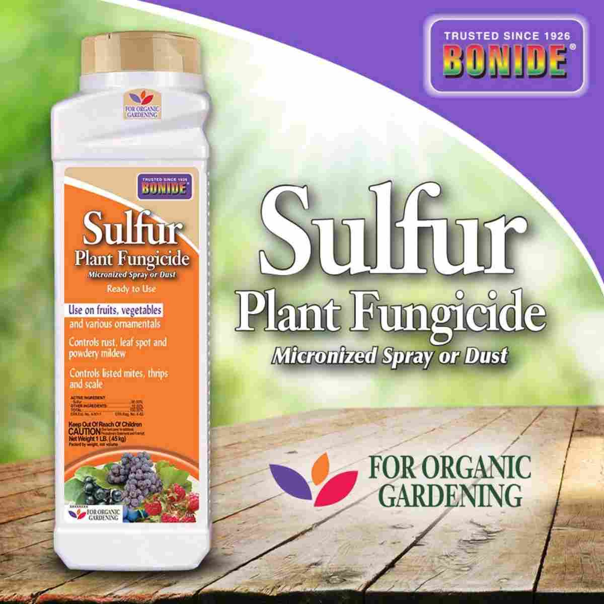 Bonide Sulfur Fungicide Micro Spray/Dust RTU 1lb 14449