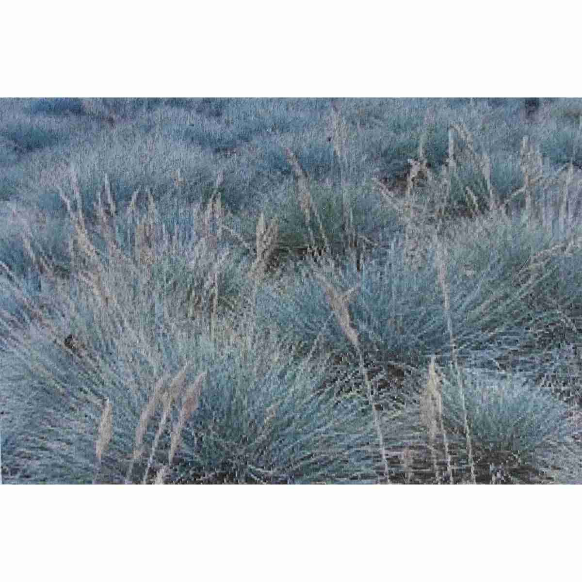 Bulk Sheep Fescue Grass Seed 1lb 21021