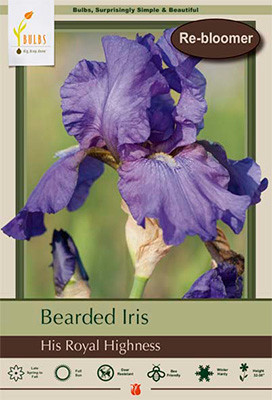 Iris Brd His Royal Highness 1pp 36734