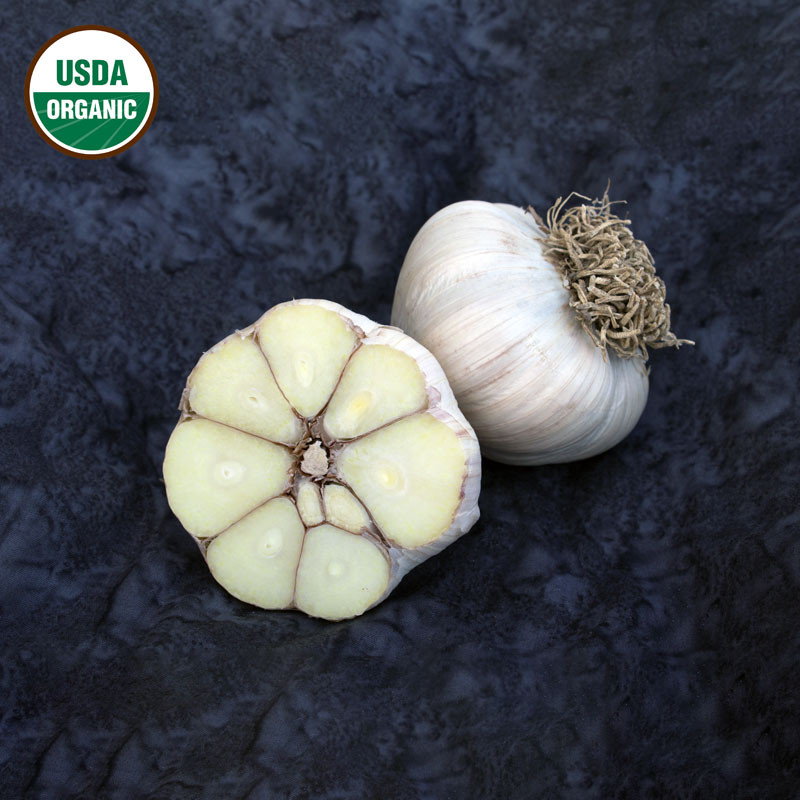 Garlic Asian Tempest Certified Organic 39855