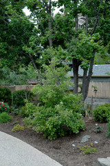 #7