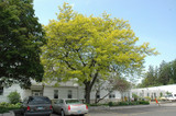 #7