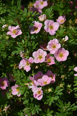 #5