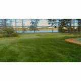 Bulk Rick's Shady Lawn Grass Seed 1lb 20522
