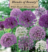 Nthrlnd Allium Wild About Blend 8pp 36716