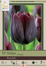 Tulip Bulb Ronaldo 10pp 36724
