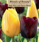 Netherland Tulip Wine & Cheese Blend 18pp 36784
