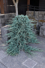 #2
