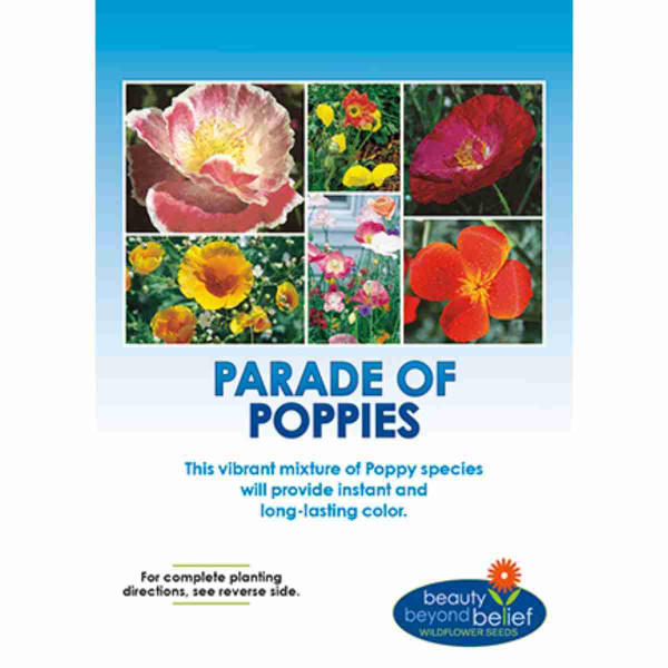 BB Parade Of Poppies 8oz 13434