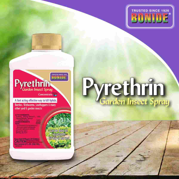 Bonide Pyrethrin Garden Insect Spray Conc 8Oz 14426