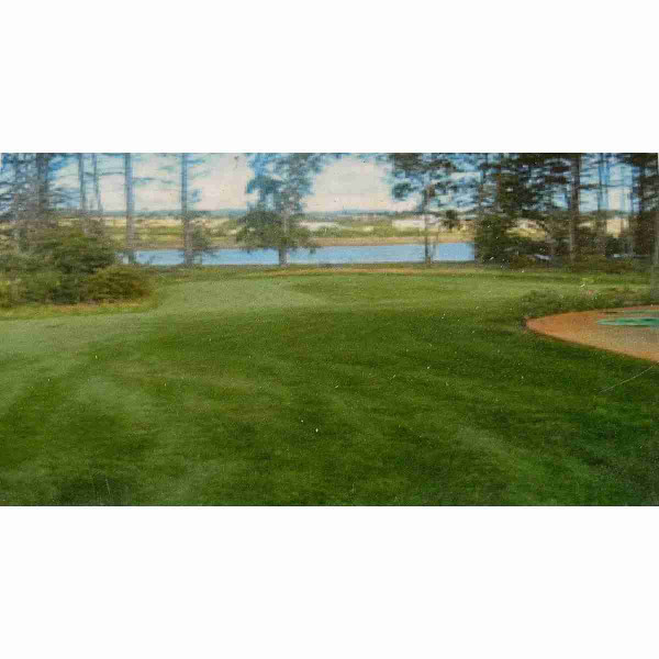 Bulk Rick's Shady Lawn Grass Seed 1lb 20522