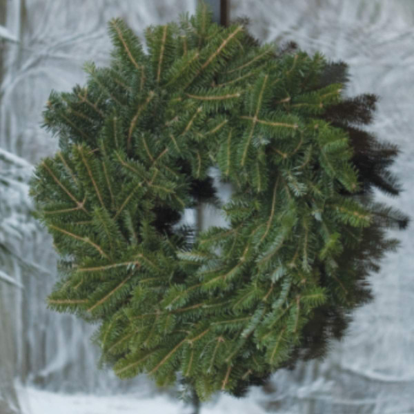 Christmas Wreath - 20 in Fraser Fir, Plain 23110