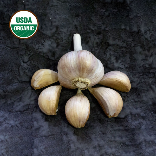 Garlic Georgian Fire Certified Organic 39849