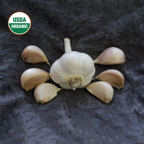 Garlic Armenian Certified Organic 39850