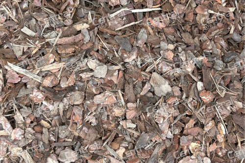 Pine Play Bark