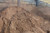 Concrete / Sharp sand