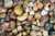 Gravel 40mm