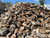 Gabion Stone