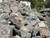 Pitching Stone