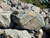 Pitching Stone