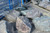 Granite Boulders
