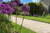 Self Binding Footpath gravel