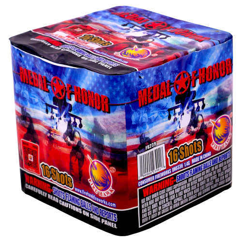Medal of Honor (Case)