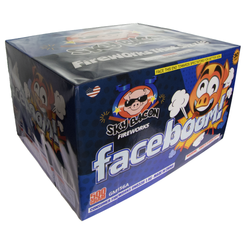 Social Destruction (Case)