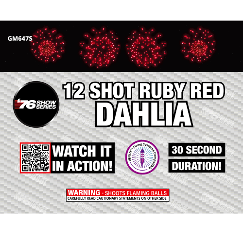 12s R/W/B Dahlia Asst (30 sec) (Show) (Case)