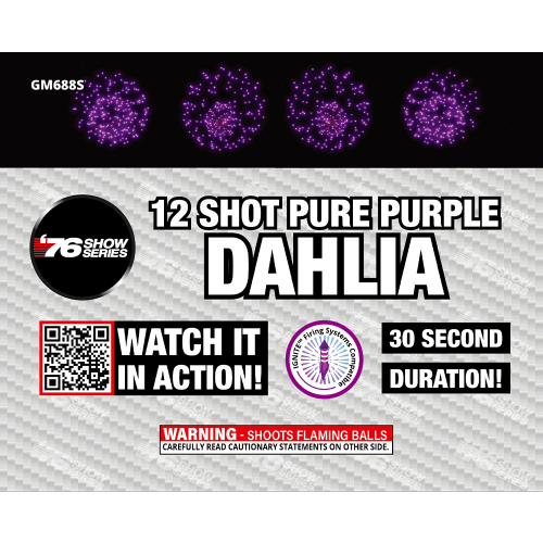 12 Shot Purple Dahlia