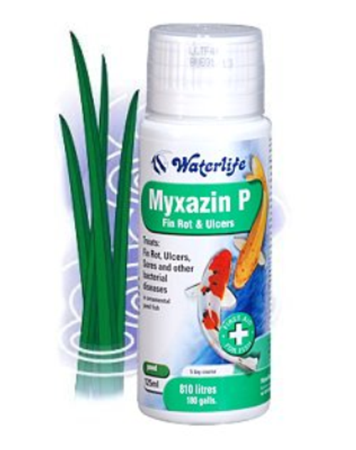 Waterlife Myxazin P 1 Litre
