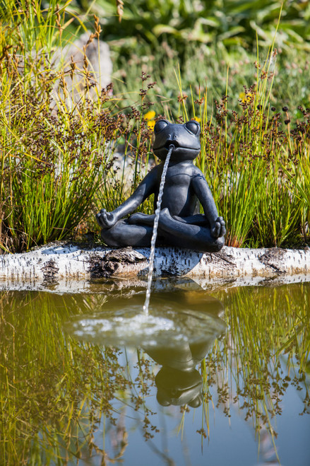 Yoga Frog Statute 